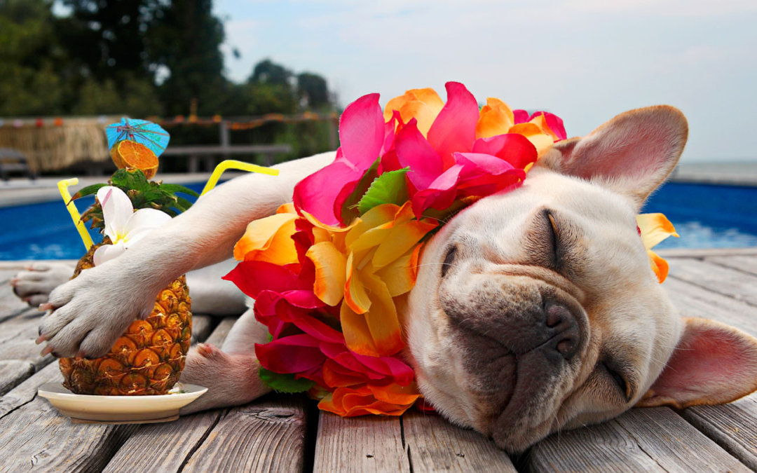 ქვეყნები, სადაც შვებულების აღება ყველაზე მარტივია