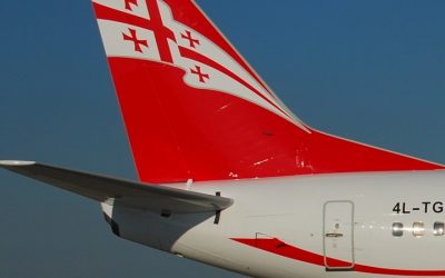 Georgian Airways-ი თბილისის აეროპორტის მიმდებარე ტერიტორიაზე აქციას გამართავს